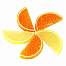Биосладия 178 дольки в сахаре с ароматом лимона и апельсина